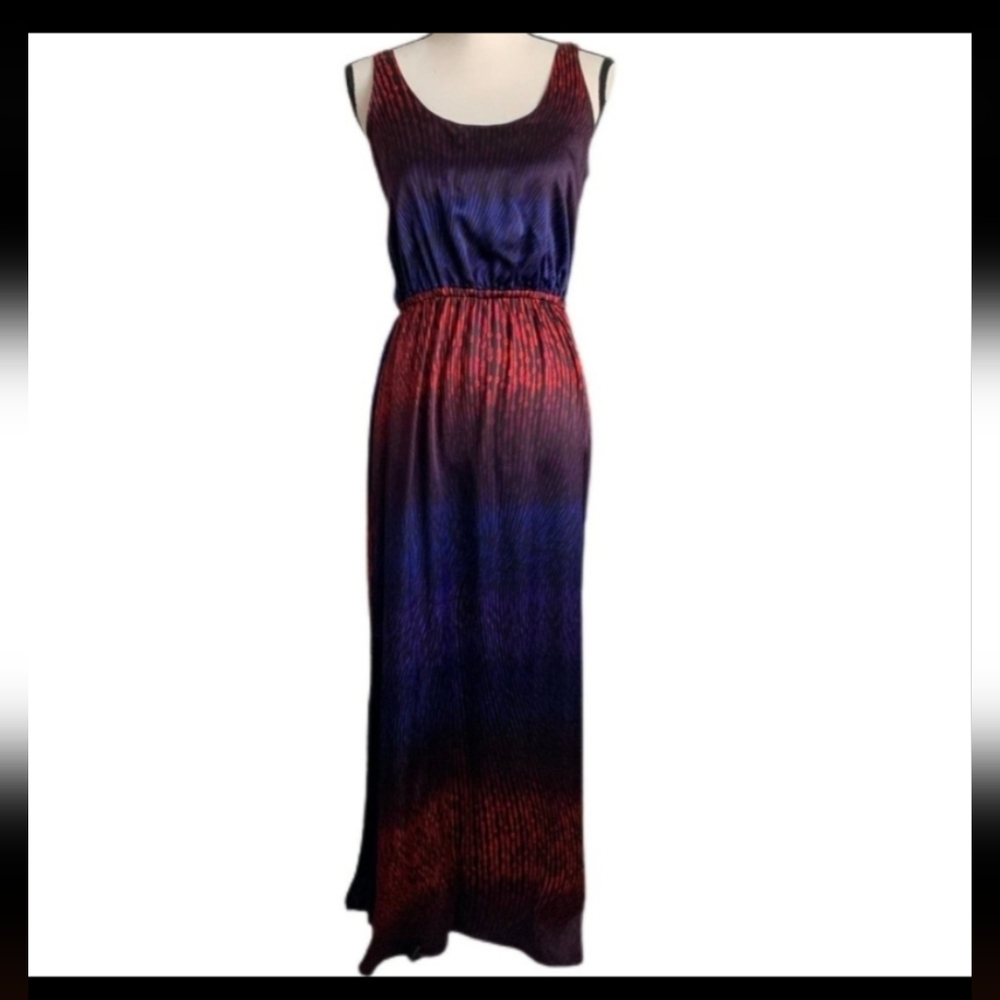 Club Monaco Red and Blue Maxi Dress